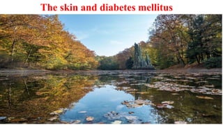 The skin and diabetes mellitus
 