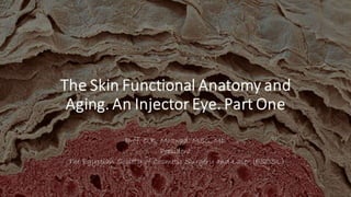 The Skin Functional Anatomy and Aging. An Injector Eye. Part One.pptx