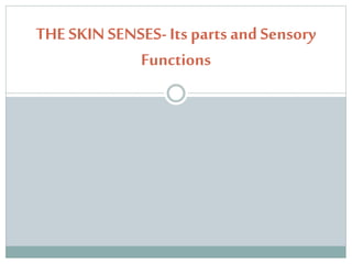 THE SKIN SENSES- Its parts and Sensory
Functions
 