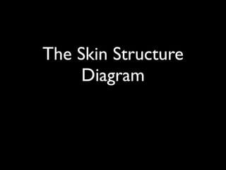The Skin Structure
     Diagram
 