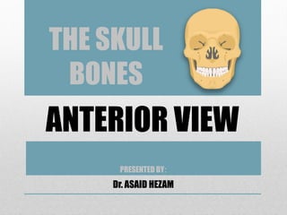 ANTERIOR VIEW
Dr. ASAID HEZAM
PRESENTED BY:
THE SKULL
BONES
 