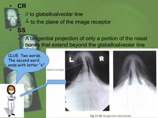 • CR
– // to glabelloalveolar line
– ┴ to the plane of the image receptor
• SS
– A tangential projection of only a portion of the nasal
bones that extend beyond the glabelloalveolar line
CLUE: Two words.
The second word
ends with letter “e”.
 