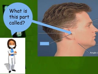 What is
this part
called?
 