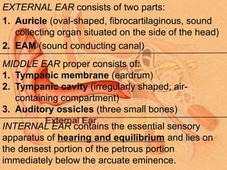 EXTERNAL EAR consists of two parts:
1. Auricle (oval-shaped, fibrocartilaginous, sound
collecting organ situated on the side of the head)
2. EAM (sound conducting canal)
MIDDLE EAR proper consists of:
1. Tympanic membrane (eardrum)
2. Tympanic cavity (irregularly shaped, air-
containing compartment)
3. Auditory ossicles (three small bones)
INTERNAL EAR contains the essential sensory
apparatus of hearing and equilibrium and lies on
the densest portion of the petrous portion
immediately below the arcuate eminence.
 