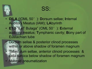 SS:
• DILA (IOML 50°): Dorsum sellae; Internal
Auditory Meatus (IAM); LAbyrinth
• ETB “EaT Bulaga” (OML 50°): External
auditory meatus; Tymphanic cavity; Bony part of
Eustachian tube
• Dorsum sellae & posterior clinod processes
within or above shadow of foramen magnum
• Tubeculum sellae, anterior clinoid processes &
sella turcica below shadow of foramen magnum
• Mastoid pneumatization
 