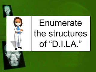 Enumerate
the structures
of “D.I.LA.”
 