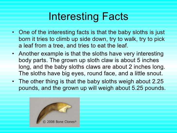 the slowest animal in