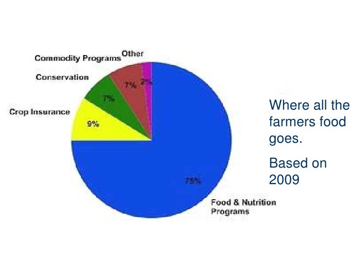 The slow food movement