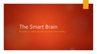 The Smart Brain
BY: ISABELLA, ABBEY, NATHAN, ANDREW, AND MICHAEL
 