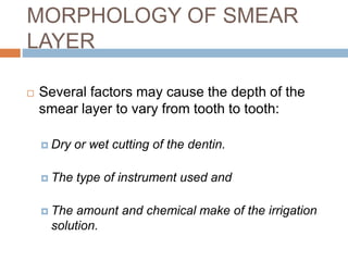  Several factors may cause the depth of the
smear layer to vary from tooth to tooth:
 Dry or wet cutting of the dentin.
 The type of instrument used and
 The amount and chemical make of the irrigation
solution.
MORPHOLOGY OF SMEAR
LAYER
 