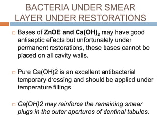  Bases of ZnOE and Ca(OH)2 may have good
antiseptic effects but unfortunately under
permanent restorations, these bases cannot be
placed on all cavity walls.
 Pure Ca(OH)2 is an excellent antibacterial
temporary dressing and should be applied under
temperature fillings.
 Ca(OH)2 may reinforce the remaining smear
plugs in the outer apertures of dentinal tubules.
BACTERIA UNDER SMEAR
LAYER UNDER RESTORATIONS
 