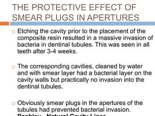 THE PROTECTIVE EFFECT OF
SMEAR PLUGS IN APERTURES
 Etching the cavity prior to the placement of the
composite resin resulted in a massive invasion of
bacteria in dentinal tubules. This was seen in all
teeth after 3-4 weeks.
 The corresponding cavities, cleaned by water
and with smear layer had a bacterial layer on the
cavity walls but practically no invasion into the
dentinal tubules.
 Obviously smear plugs in the apertures of the
tubules had prevented bacterial invasion.
 