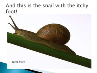 And this is the snail with the itchy foot!Jared Petty