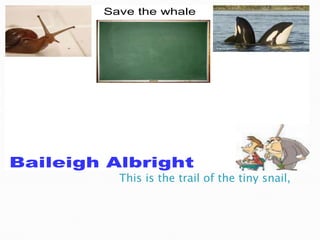 This is the trail of the tiny snail,