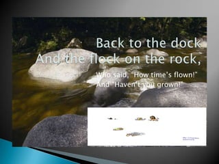 Back to the dockAnd the flock on the rock,Who said, “How time’s flown!”And “Haven’t you grown!”