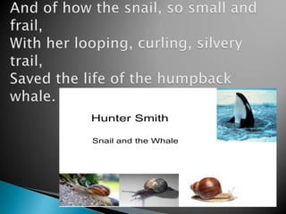 And of how the snail, so small and frail,With her looping, curling, silvery trail,Saved the life of the humpback whale.