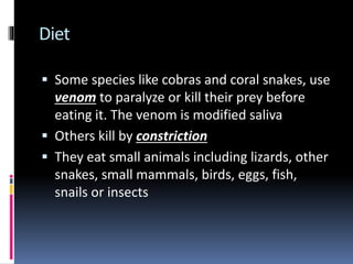 Diet
 Some species like cobras and coral snakes, use
venom to paralyze or kill their prey before
eating it. The venom is modified saliva
 Others kill by constriction
 They eat small animals including lizards, other
snakes, small mammals, birds, eggs, fish,
snails or insects
 