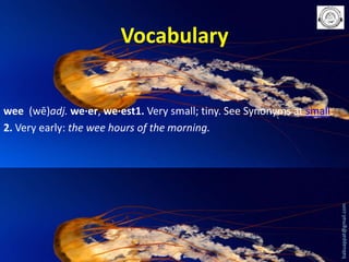 Vocabulary

babuappat@gmail.com

wee (wē)adj. we·er, we·est1. Very small; tiny. See Synonyms at small.
2. Very early: the wee hours of the morning.

 