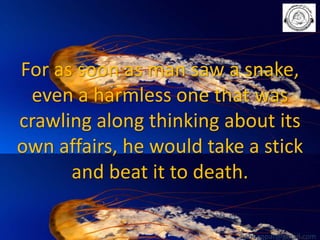 For as soon as man saw a snake,
even a harmless one that was
crawling along thinking about its
own affairs, he would take a stick
and beat it to death.
babuappat@gmail.com

 