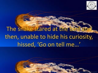 The snake stared at the bird and
then, unable to hide his curiosity,
hissed, ‘Go on tell me…’

babuappat@gmail.com

 