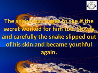 The snake was eager to see if the
secret worked for him too. Slowly
and carefully the snake slipped out
of his skin and became youthful
again.
babuappat@gmail.com

 
