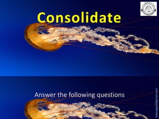 Answer the following questions

babuappat@gmail.com

Consolidate

 