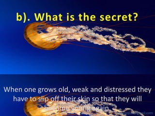 b). What is the secret?

When one grows old, weak and distressed they
have to slip off their skin so that they will
become young again. babuappat@gmail.com

 
