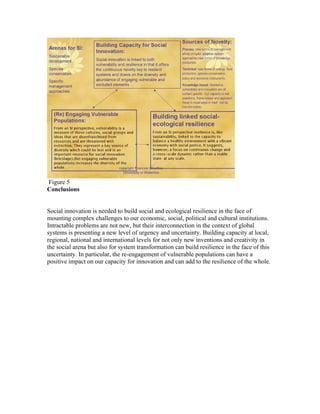 Figure 5
Conclusions


Social innovation is needed to build social and ecological resilience in the face of
mounting complex challenges to our economic, social, political and cultural institutions.
Intractable problems are not new, but their interconnection in the context of global
systems is presenting a new level of urgency and uncertainty. Building capacity at local,
regional, national and international levels for not only new inventions and creativity in
the social arena but also for system transformation can build resilience in the face of this
uncertainty. In particular, the re-engagement of vulnerable populations can have a
positive impact on our capacity for innovation and can add to the resilience of the whole.
 