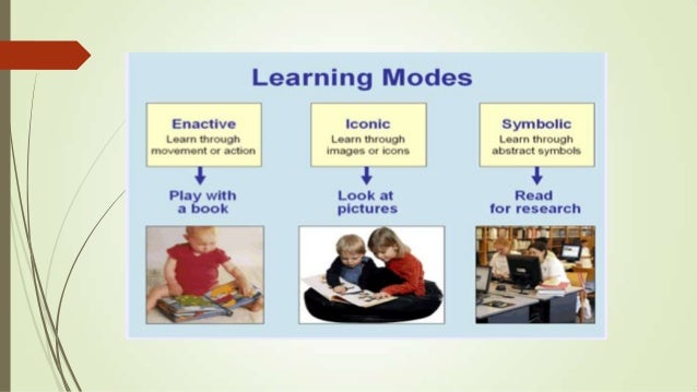 The Unilateral Accident Model The Unilateral Accident Model