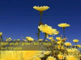 Start small – grow – fail – learn
and try again
By Dawn Endico

 