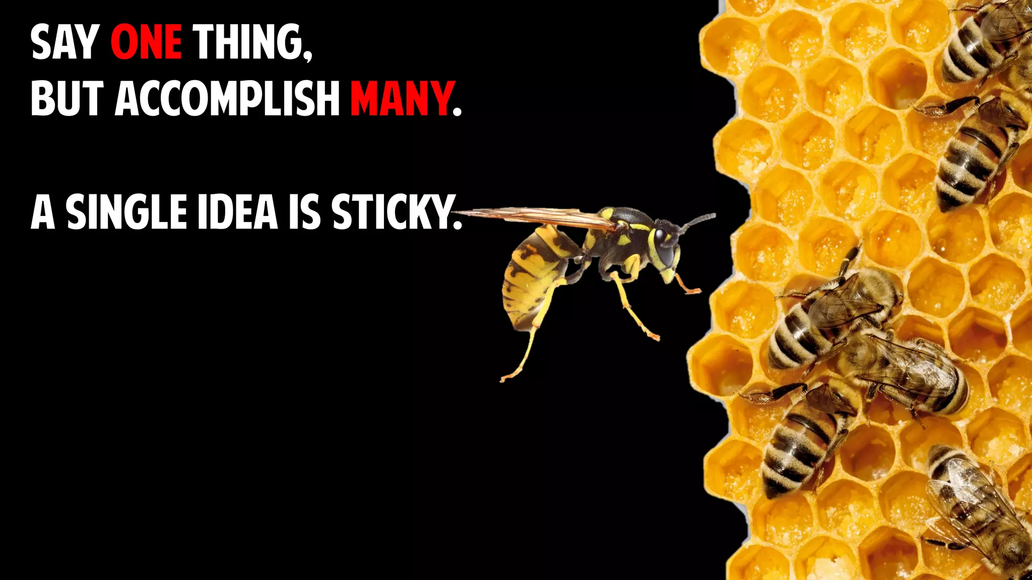 say one thing,
but accomplish many.
A SINGLE IDEA IS STICKY.