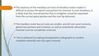 The anatomy of the mesiobuccal roots of maxillary molars makes it
difficult to access the apical root portion for removal. In such situations, it
is likely that the coronal portion that is straighter would be separated
from the curved apical portion and the root tip delivered.
The maxillary molar buccal roots are smaller, and all root canal contents,
apical root portions and contents, as well as endodontic obturation
material must be completely removed.
 This is achieved by making intraoperative radiographs to confirm
complete materials and root apex removal.
 