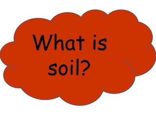 What is 
soil? 
 