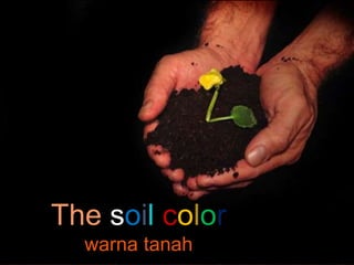 The soil color
warna tanah
 