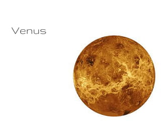 Venus
 
