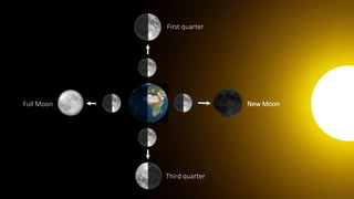 New Moon
First quarter
Full Moon
Third quarter
 