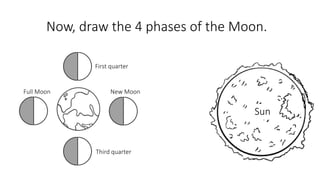 Now, draw the 4 phases of the Moon.
First quarter
Full Moon New Moon
Third quarter
Sun
 