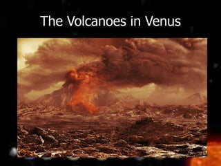 The Volcanoes in Venus
 
