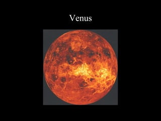 Venus
 