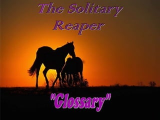 The Solitary  Reaper &quot;Glossary&quot; 