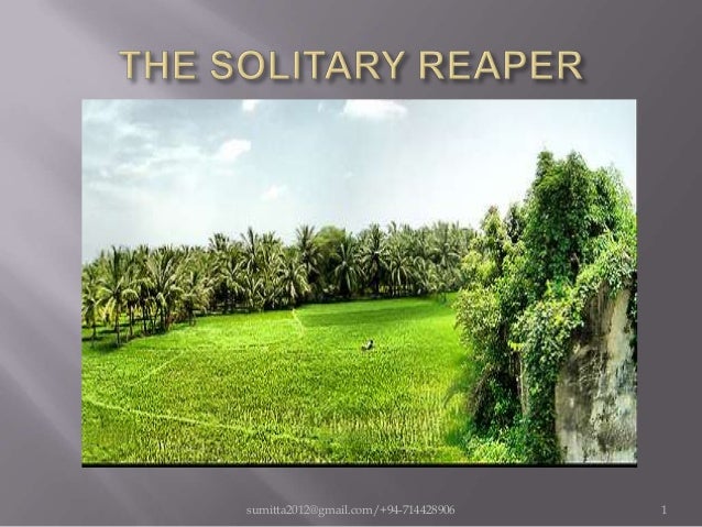 the solitary reaper an analysis the solitary reaper an analysis