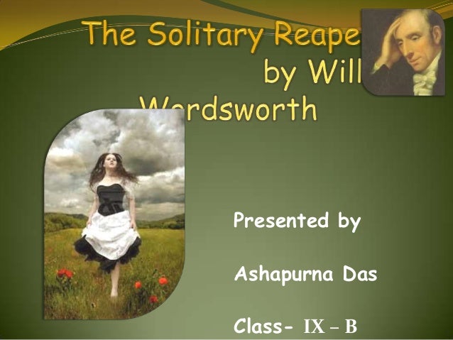 the solitary reaper an analysis the solitary reaper an analysis