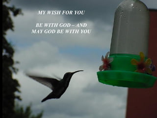 Thesongofthebirds