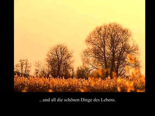 ...und all die schönen Dinge des Lebens.
 