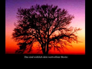 Das sind wirklich dein wertvollster Besitz.
 