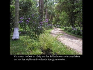 Vertrauen in Gott ist nötig um das Selbstbewusstsein zu stärken
um mit den täglichen Problemen fertig zu werden.
 