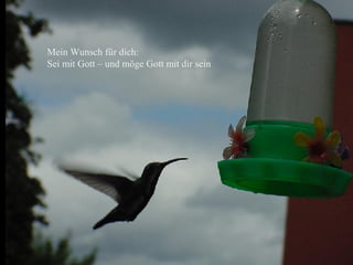 Mein Wunsch für dich:
Sei mit Gott – und möge Gott mit dir sein
 