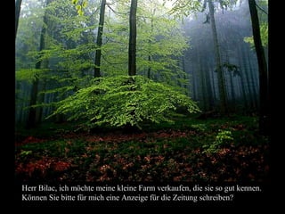 Herr Bilac, ich möchte meine kleine Farm verkaufen, die sie so gut kennen.
Können Sie bitte für mich eine Anzeige für die Zeitung schreiben?
 