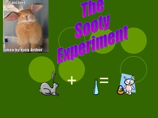+   =   The  Sooty Experiment 
