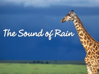 The Sound of Rain
 